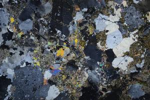 Cross Polarized, E59061