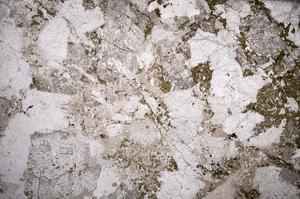 Plane Polarized, E59061