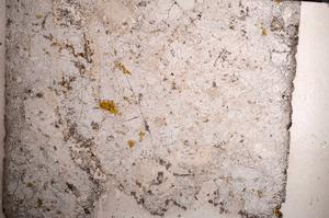 Plane Polarized, E59077