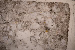 Plane Polarized, E59084/A