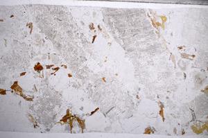 Plane Polarized, E59148