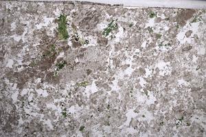 Plane Polarized, E59153