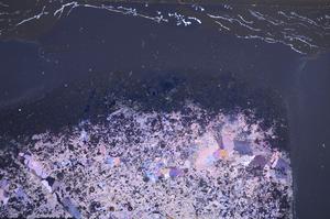 Cross Polarized, E59456/A