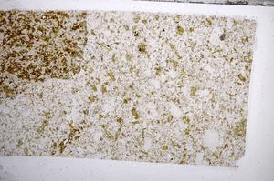 Plane Polarized, E59496