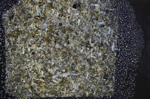 Cross Polarized, E59502