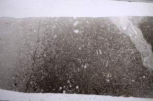 Plane Polarized, E59717
