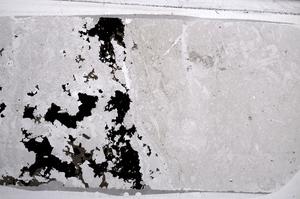 Plane Polarized, E59721