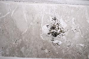 Plane Polarized, E59727