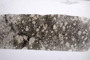 Plane Polarized, E59764