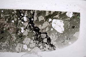 Plane Polarized, E59769