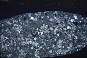 Cross Polarized, E59798