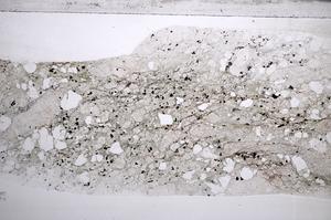 Plane Polarized, E59804