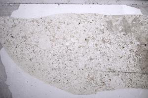 Plane Polarized, E59819