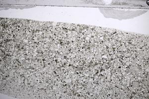 Plane Polarized, E59822