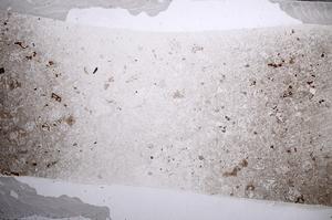Plane Polarized, E59839
