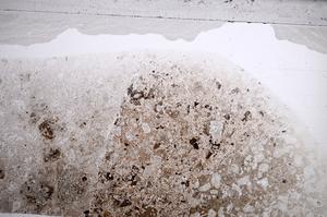 Plane Polarized, E59840