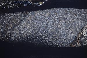 Cross Polarized, E59841