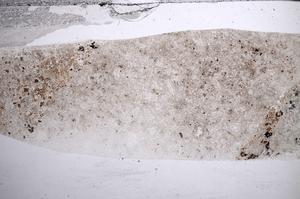 Plane Polarized, E59841