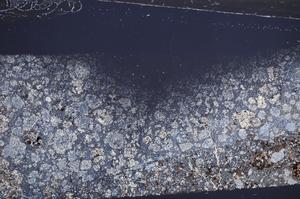 Cross Polarized, E59842