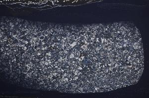 Cross Polarized, E59851