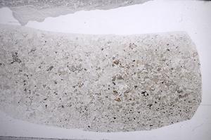 Plane Polarized, E59851