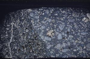 Cross Polarized, E59853