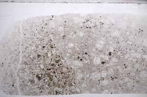 Plane Polarized, E59853