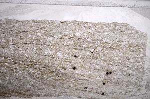 Plane Polarized, E59919