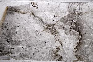 Plane Polarized, E59928