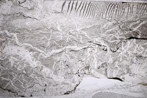 Plane Polarized, E59929