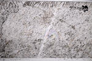 Plane Polarized, E59931