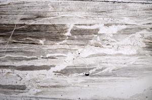 Plane Polarized, E59933