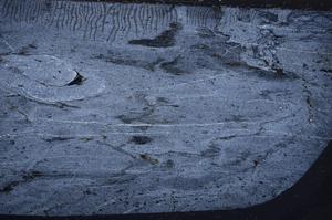 Cross Polarized, E59934