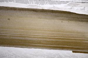 Plane Polarized, E59938