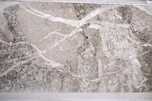 Plane Polarized, E60001