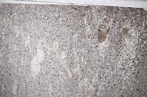 Plane Polarized, E60013