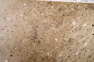 Plane Polarized, E60035