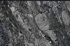 Cross Polarized, E60042