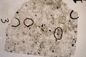 Plane Polarized, E60131