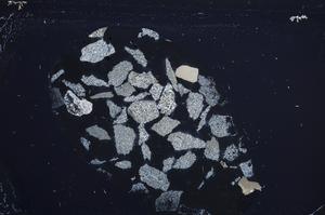 Cross Polarized, E60181