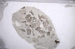 Plane Polarized, E60181