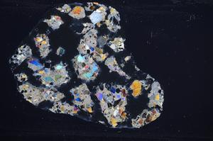 Cross Polarized, E60183