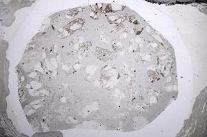 Plane Polarized, E60184