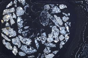 Cross Polarized, E60185