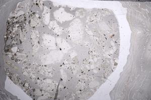 Plane Polarized, E60185