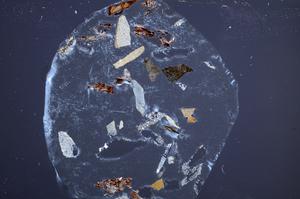 Cross Polarized, E60202