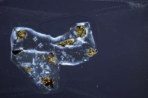 Cross Polarized, E60220