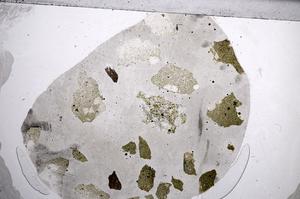 Plane Polarized, E60225