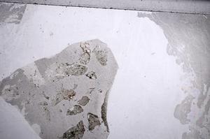 Plane Polarized, E60282/A