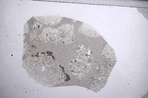 Plane Polarized, E60285